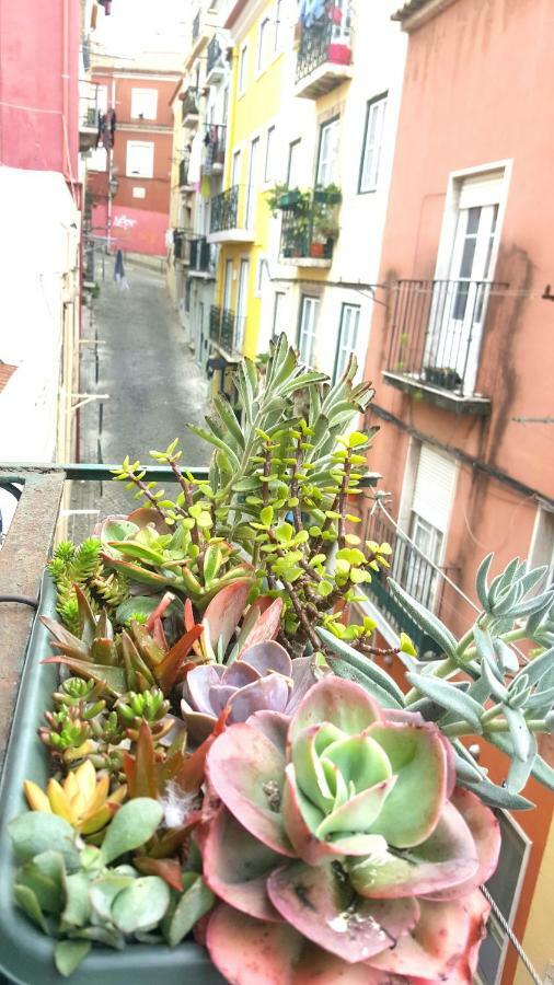 Apartamento Misericordia! Bairro Alto Concept *